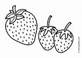 Coloring Fruit Strawberry Pages Strawberries Simple Kids Fruits Three Printable Clip 4kids Color Stamps Crafts sketch template