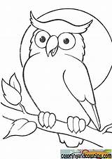 Owl Drawing Kids Coloring Simple Drawings Color Pages Owls Easy Outline Animal Cartoon Para Imgarcade Getdrawings Visit Paintingvalley Choose Board sketch template