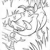 Warthog Coloring Pages Getcolorings Funny Printable sketch template