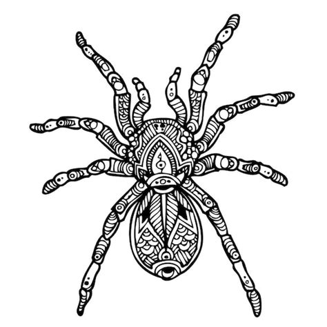 large coloring poster spider etsy