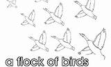 Flock Nouns Collective Designlooter sketch template