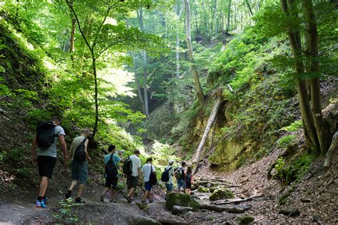 budapest hikers hiking   community  expats nomads