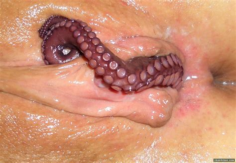 octopus in pussy