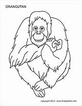 Orangutan Gorilla Firstpalette Templates Utan Orangutans sketch template