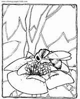Coloring Pages Bees Honey Bee Popular sketch template