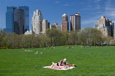 7 Best Places To Sunbathe In Central Park