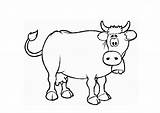 Colorear Buey Mula Patufet 1131 Vaca Cows Arando sketch template