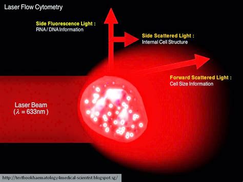 haematology   nutshell flow cytometry based hematology analyzers