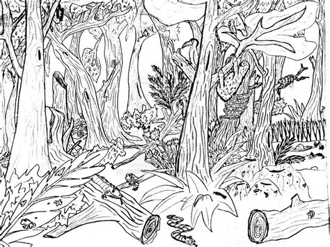 nature coloring pages  print nature coloring pages pinterest