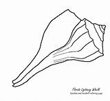 Whelk Seashell Outline Lightning Seashells Getdrawings sketch template