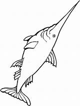 Swordfish Fundo sketch template