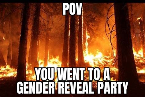 gender reveal memes that are dangerously explosive