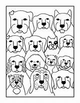 Coloring Dog Sally Mountain Book Stephen Huneck Paints sketch template