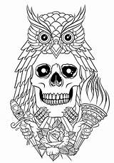 Tattoo Coloring Pages Adults Adult Owl Skull Body Behance sketch template