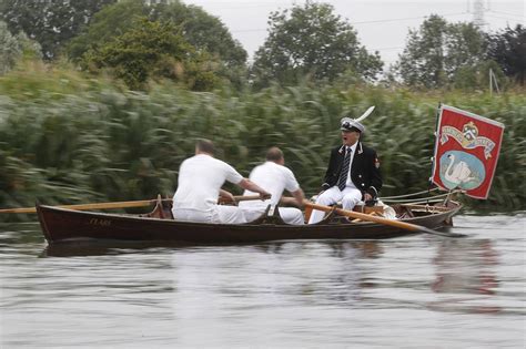 teams on the river thames count queen elizabeth ii s swans