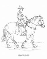 Disciplines Horses sketch template
