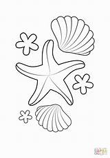 Coloring Sea Shell Pages Shells Printable Starfish Colorir Drawing Mermaid sketch template