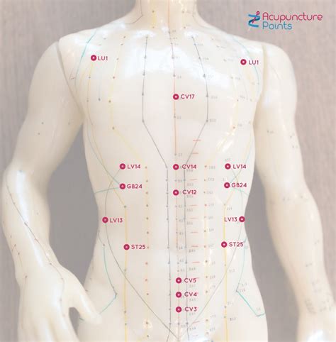 acupuncture alarm points  front  points acupuncture points