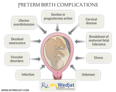 See The Preterm Birth Complications Below Mywedjat