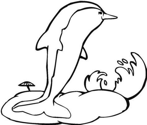 dolphin coloring pages  coloring pages animal coloring pages