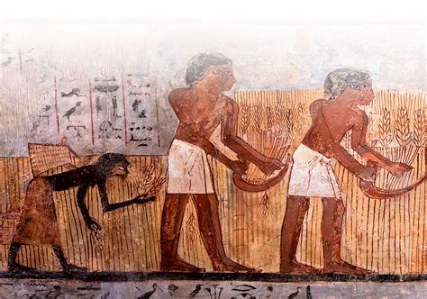 wat aten de oude egyptenaren historianetnl