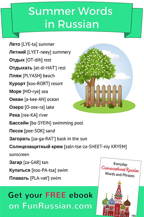 russian summer words russian language learning russian