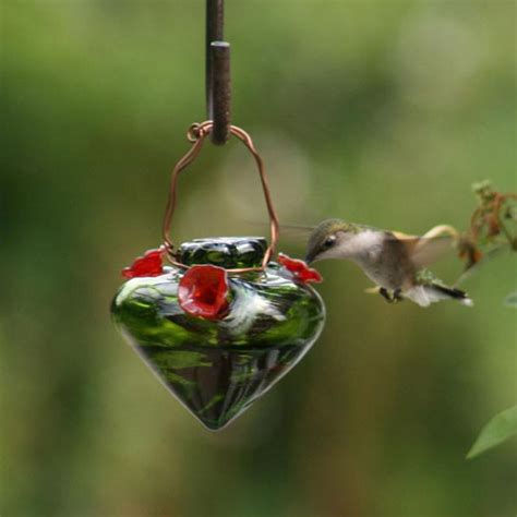 dragonsfaerieselvestheunseen hummingbird feeders