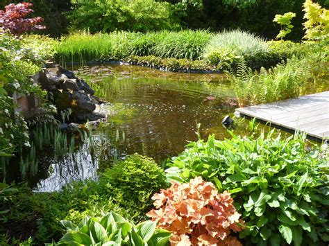 les   beaux bassins decouverts lors du concours aquiflor jardinerie aquatique