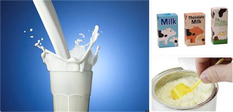 dietecnica leite