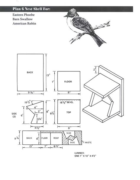 tree swallow birdhouse plans