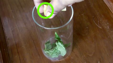4 easy ways to make a virgin mojito wikihow