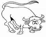 Bull Coloring Pages Printable Kids Results Sheet sketch template