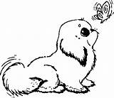 Corgi Coloring Clipart Cute Drawing Dogs Webstockreview sketch template