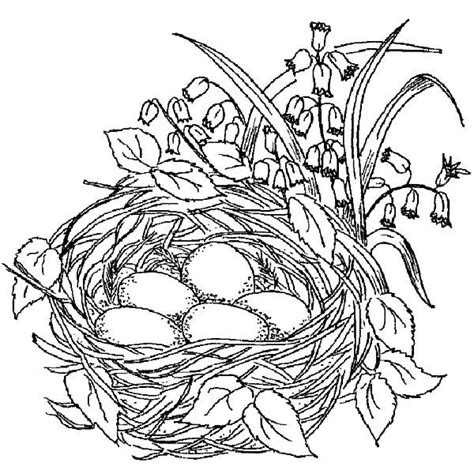 birds nest  eggs    flowers   side vintage