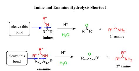 imine  enamine hydrolysis shortcut chemistry organic chemistry
