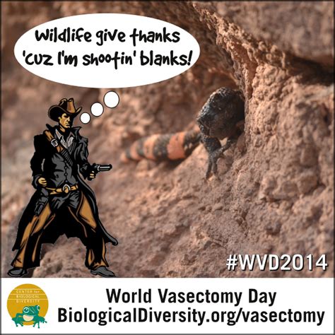 world vasectomy day 2014