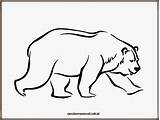 Mewarnai Beruang Polar Zebra Hewan Kids sketch template