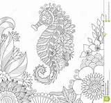 Colorare Coloriage Cavalluccio Hippocampe Livre Disegno Adulte Seahorse sketch template