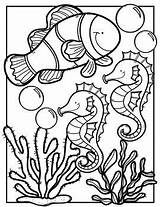 Coloring Animals Pages Clips Clipart Ocean Animal Creative Book Summer Sheets Books Made Choose Board Cute sketch template