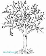 Tree Coloring Willow Color Pages Printable Getcolorings Sheet sketch template