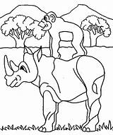 Rhino Moneky Ride Coloring Safari African sketch template