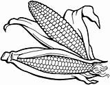 Corn Coloring Indian Printable Pages Getcolorings Stalks sketch template