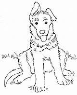 Shepherd German Coloring Puppy sketch template