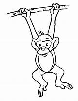 Monkey Coloring Printable Kids Pages Clipart Hanging Drawing Monkeys Cute Sheets sketch template