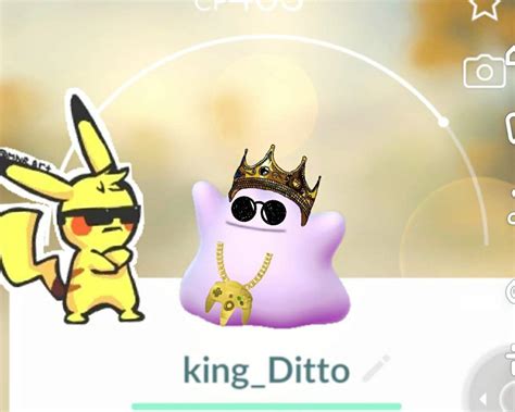 King Ditto Wiki Pokemon Go Amino