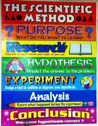 sample layout  hypothesis paper grade    components   good