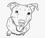 Dog Bull Pit Drawing Terrier Puppy Drawings Easy Coloring Pages American Line Pitbulls Bark Barking Transparent Getdrawings Nicepng Kindpng sketch template