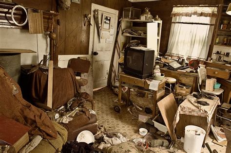 hoarding cleanup guide       dealing