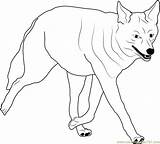 Coyote Getdrawings Howling sketch template