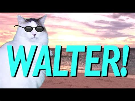 happy birthday walter epic cat happy birthday song youtube